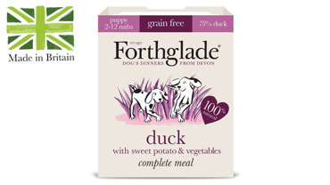 FORTHGLADE ΥΓΡΗ ΤΡΟΦΗ ΣΚΥΛΟΥ ΠΑΠΙΑ ΓΙΑ ΚΟΥΤΑΒΙΑ ΜΕ ΚΟΛΟΚΥΘΑ & ΛΑΧΑΝΙΚΑ 125GR